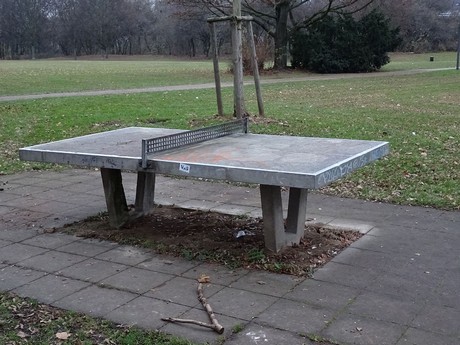 riehl