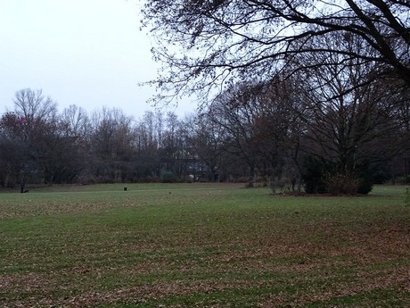 riehl