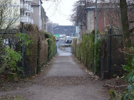 riehl