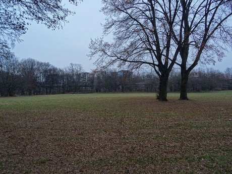 riehl