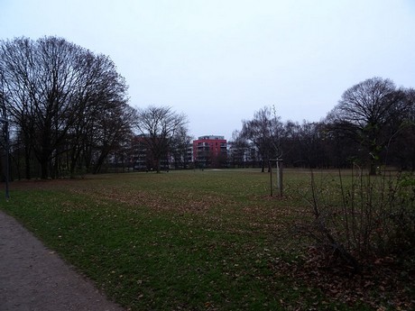 riehl