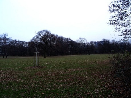 riehl