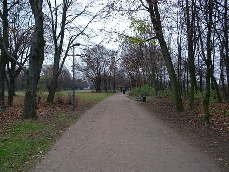 riehl
