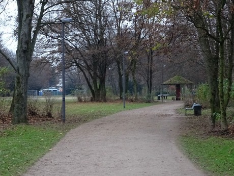 riehl