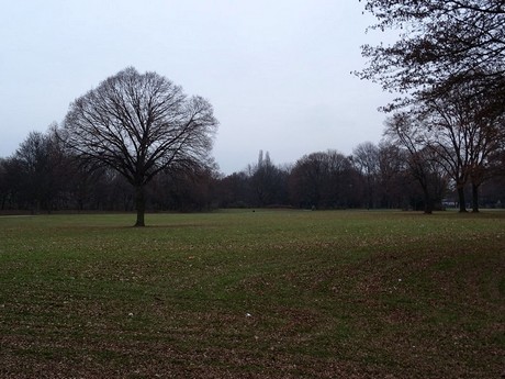 riehl