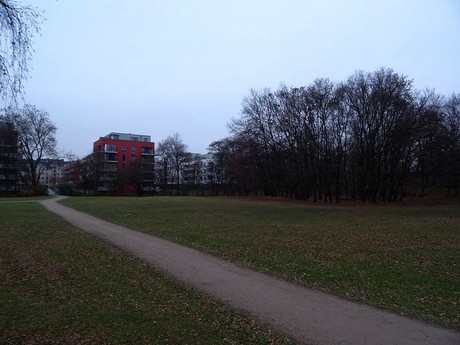 riehl