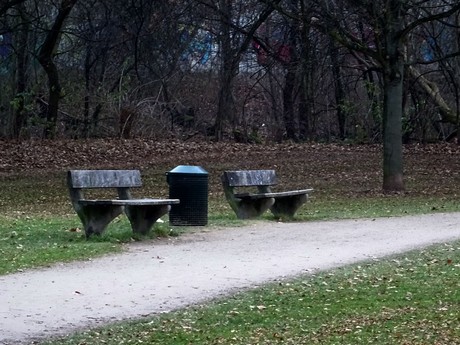 riehl