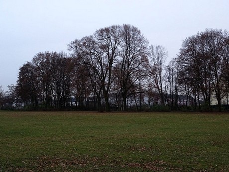 riehl
