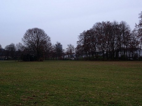 riehl
