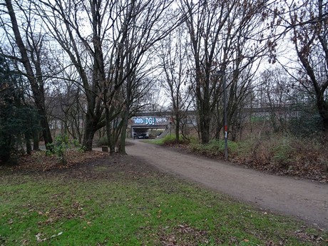riehl