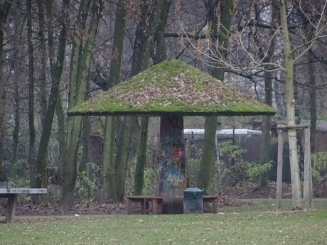 riehl