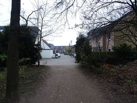 riehl
