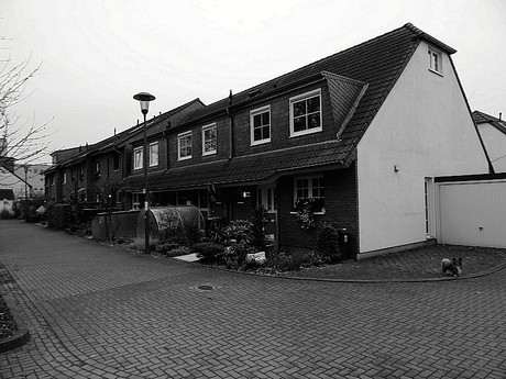 riehl