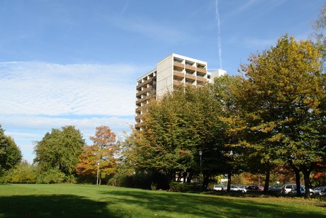 riehl