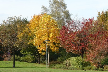 seniorenzentrum-koeln-riehl