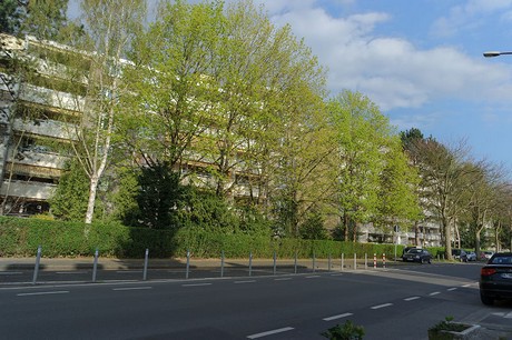 Rodenkirchen