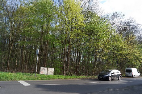 Rodenkirchen