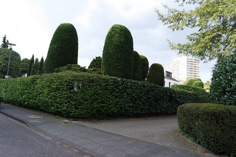 Rodenkirchen