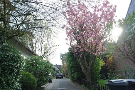 Rodenkirchen
