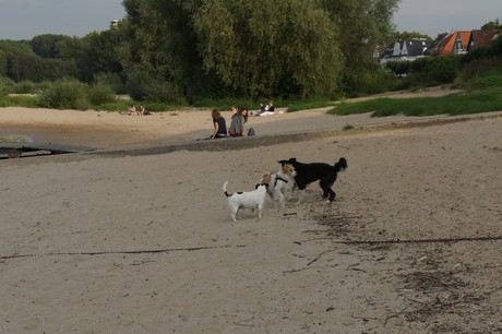 Rodenkirchen