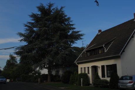 rodenkirchen