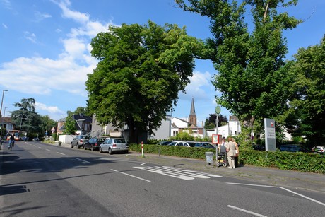 rodenkirchen
