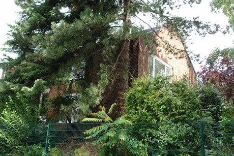 rodenkirchen