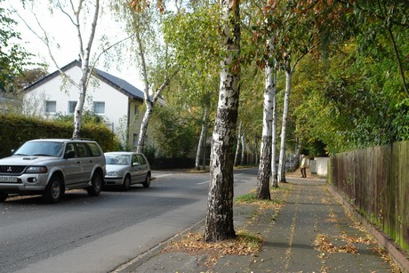 rodenkirchen