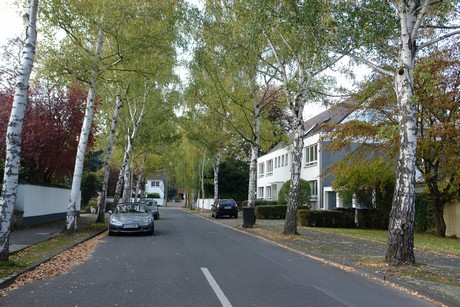 rodenkirchen