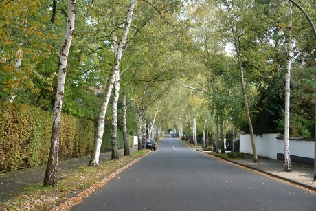 rodenkirchen