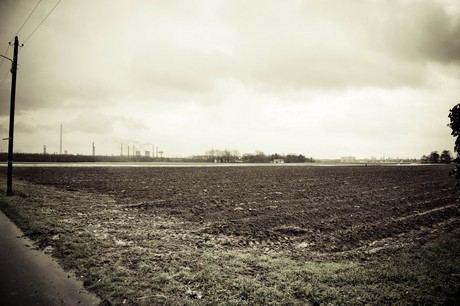 rondorf
