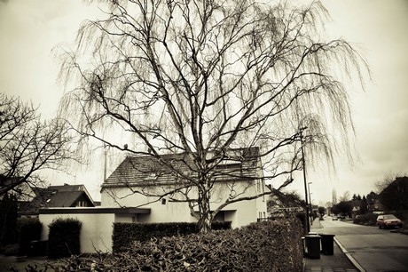 rondorf
