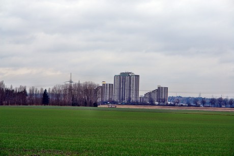 rondorf