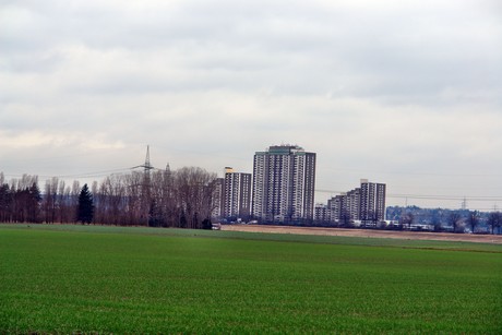 rondorf