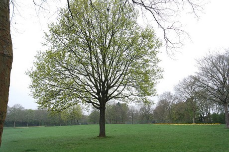 Seeberg