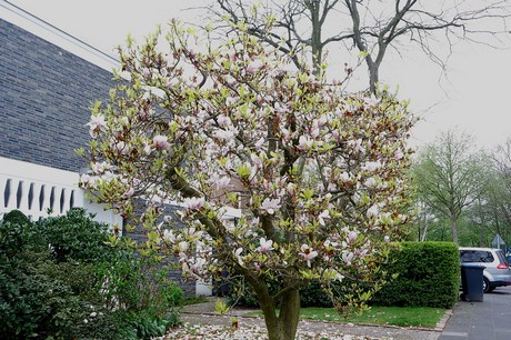 Seeberg