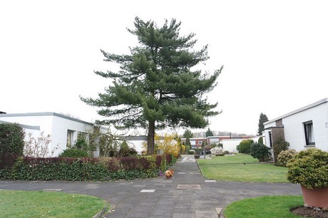 Seeberg