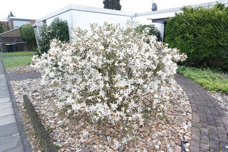 Seeberg