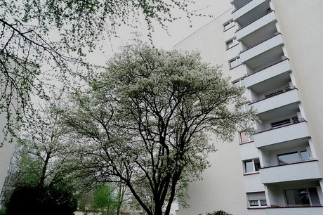 Seeberg