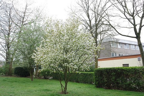 Seeberg