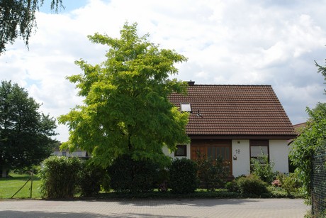 seeberg