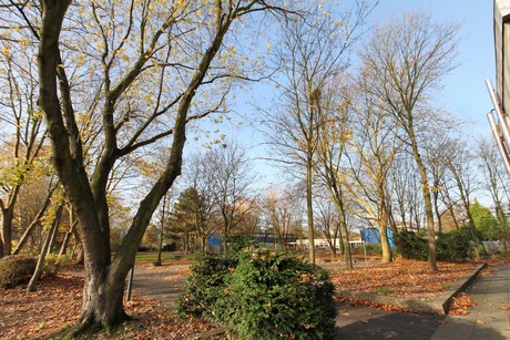 seeberg