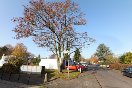 seeberg
