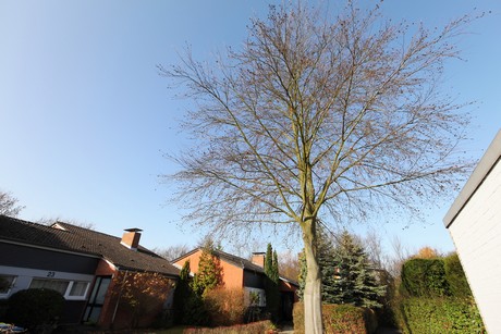 seeberg