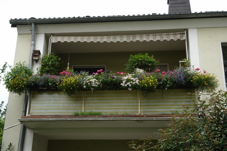 stammheim