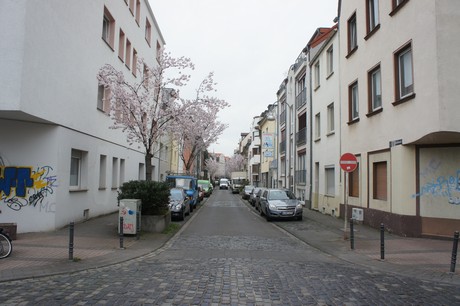 suelz