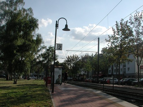 suelz