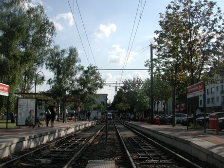 suelz
