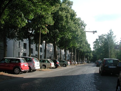 suelz