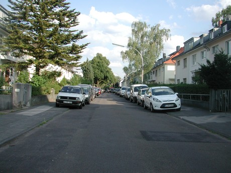 suelz